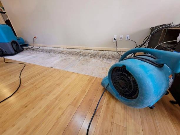 Professional Flood Damage Cleanup technician working in Era, TX